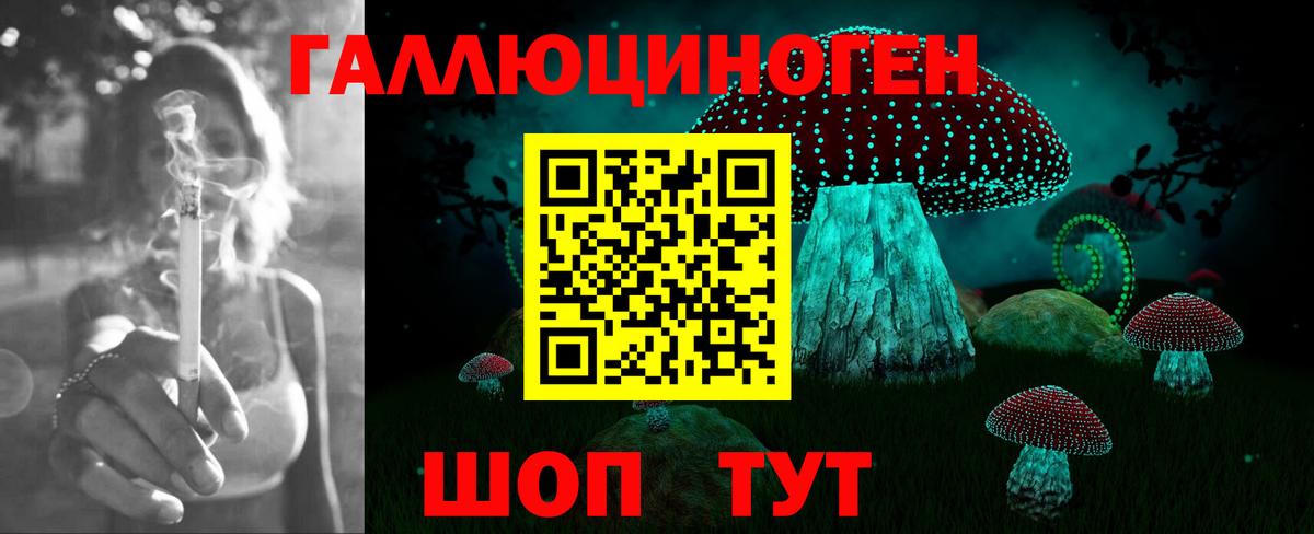 Калуга  Галлюциногенные грибы GOLDEN TEACHER  Вход с VPN  Галлюциногенные грибы мицелий 